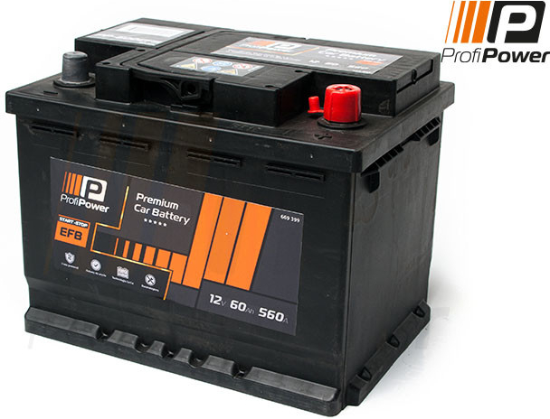 ProfiPower 12V 60Ah 540A PP-600