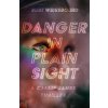 Danger in Plain Sight (Weissbourd Burt)