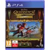 Harry Potter: Quidditch Champions (Deluxe Edition)