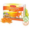 TEREZIA Cordyceps active 60 kapsúl
