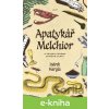 E-kniha Apatykář Melchior a záhada chrámu svatého Olafa - Indrek Hargla
