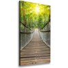 Vertikálny foto obraz canvas Visiace most 50x100 cm