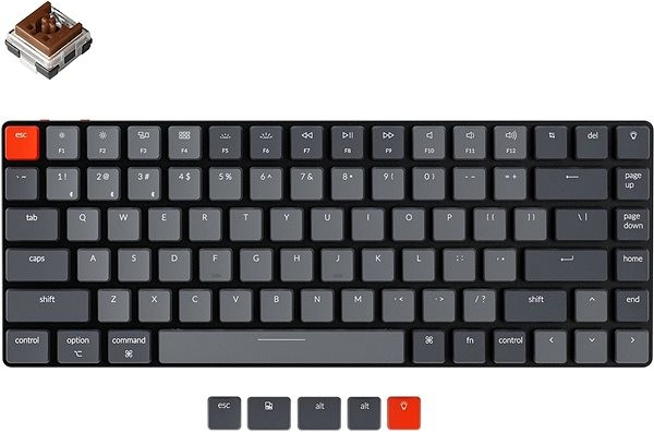 Keychron K3 TKL Ultra-Slim Low Profile Hot-Swappable Optical Brown Switch K3-E3