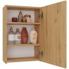 Topeshop POLA 1DL ARTISAN koupelnový doplněk Dub