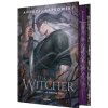 Sorceleur (Witcher), T1 : Le Dernier Voeu (édition reliée)