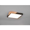 TRIO Reality R67191132 META stropné svietidlo SMD LED 310x310mm 20W/2400lm 3000K čierna matná, imitácia dreva, switchdimmer