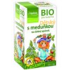 Apotheke Bio ovocný s meduňkou 20 x 2 g