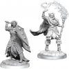 WizKids D&D Nolzur's Marvelous Miniatures Male Elf Cleric 2 ks figúrok na malovanie