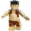 LEGO figurka Harry Potter 75967 obrovský Graup Grawp