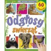 Odgłosy zwierząt. 60 dźwięków (Natalia Kawałko-Dzikowska)(Pevná)