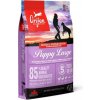 Granule ORIJEN PUPPY LARGE 6kg