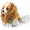 Plyšový pes gavalier King Charles španiel 28 cm ECO-FRIENDLY