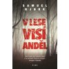 V lese visí anděl