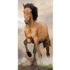 Jerry Fabrics Detská osuška KÔŇ 70x140 cm,