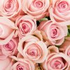 Biofresh glycerínové mydlo Ruža štvorec Rose of Bulgaria 70 g