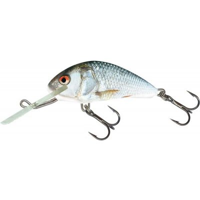 Salmo Wobler Hornet Sinking 4cm 4g Real Dace (QHT040)