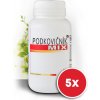 5 balení Podkovičník MIX®