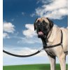 PetSafe Postroj EasyWalk , čierny XL Farba: čierne