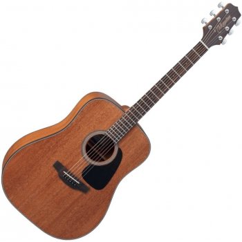 Takamine GD11M-NS