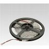 NBB NBB UV LED pásik 12V 30LED/m SMD3528 (395-405 nm) IP20 4,8W/m 903003104