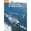Wildcat Aces of World War 2 (Barrett Tillman)(Brožovaná)