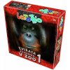 LOTOTRIO Zvieratká v ZOO 1