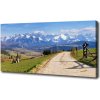 Foto obraz na plátne Panorama Tater 100x50 cm