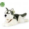 RAPPA Plyšový pes husky s obojkom ležiaci 60 cm