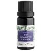 Nobilis Tilia Éterický olej bio eukalyptus radiata - 10 ml