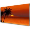 Obraz na akrylátovom skle Palma more slnko krajina 100x50 cm