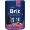 Brit Premium Cat kapsička with Salmon & Trout 100g