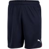 Puma Vienna shorts home 2022/2023 kids 766616-004