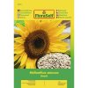 Slnečnica Snack 'Helianthus annuus' kvetinové semená FloraSelf