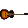 Gretsch Jim Dandy Concert LTD WNT HBS