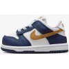 Nike DUNK LOW BTE EUR 22
