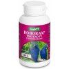 Roboran pre plazy s betaglukánom plv 100 g