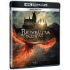 Fantastická zvířata: Brumbálova tajemství BD