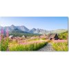 Foto obraz sklo tvrzené Domčeky v horách 100x50 cm