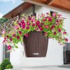 Lechuza geobra Lechuza Nido Cottage all-in-one set Farba: hnedá, Veľkosť: 28 (28/23 cm)