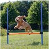 Trixie Agility preskakovacia prekážka 123 × 115 cm / Ø 3 cm (TRX3207)