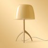 Foscarini Lumiere Nuances piccola stmieva sahara - FN026021E_58D