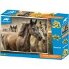 PRIME 3D Puzzle Animal planet: Koně 3D 300 dílků