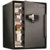 MASTER LOCK LFW205FYC trezor Čierny, Sivý Oceľ