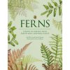 Jacob S Suissa - Ferns