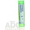 Echinacea Angustifolia gra.1 x 4 g 5CH