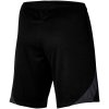 Šortky Nike Dri-FIT Strike 23 M DR2314 010 S
