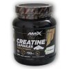 Amix Black Line Creatine Creapure 300 kapsúl