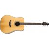 Takamine GD20-NS