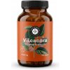 Vilcacora – kapsuly 100 ks