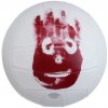 Wilson Mr Wilson Castaway Volleyball Plážový volejbal